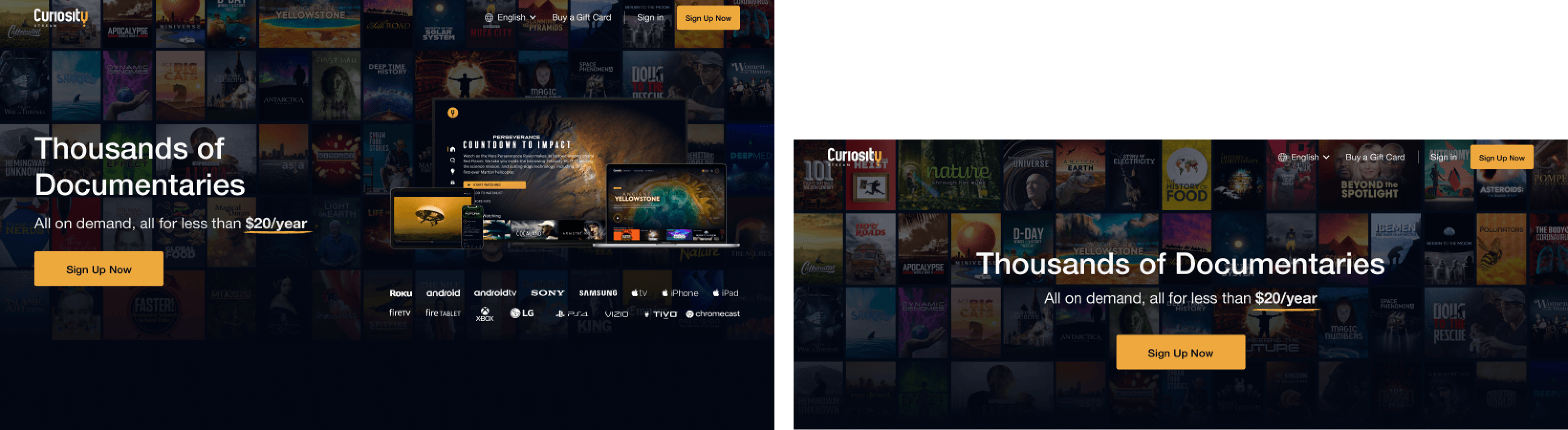 Hero Section Variants